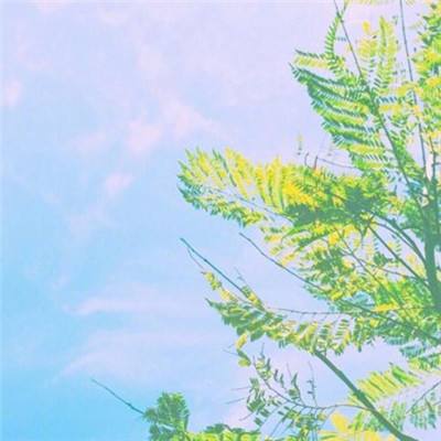 半岛·综合app下载